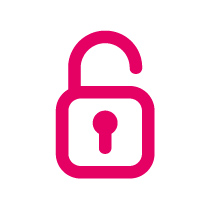 icona accessibile per magic carpet